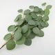 Гілочка евкаліпта, декоративна С30304 65 см, зелена