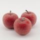 Яблука декоративні, в цукрі 5,5 см, 10 шт червоні