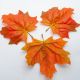 Листья клена С 00616 цвет оранжевый