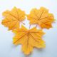 Листья клена С 00616 цвет желтый