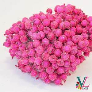 Калина сахарна 1,2 см, колір яскраво-рожевий