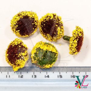 Серединка з тичинками, велика 2,0 см, колір жовтий-коричневий