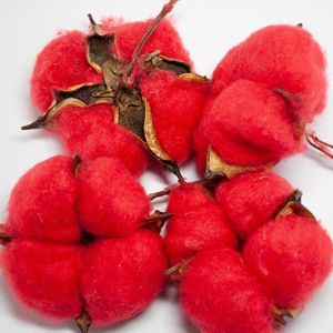 Цветок хлопка декоративный красный 5-6 см, 20 шт