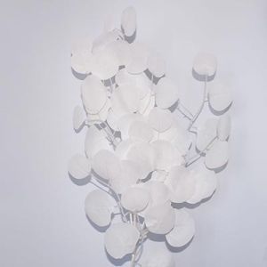 Веточка эвкалипта, декоративная С30304 65 см, белая