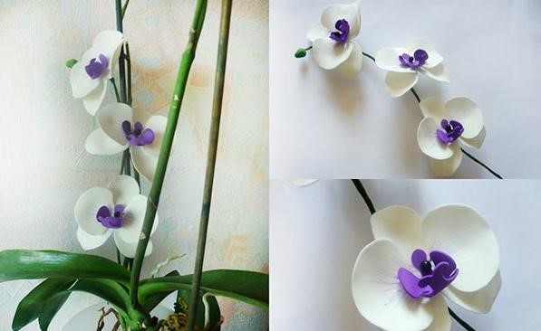 Как сделать цветок орхидеи из фоамирана